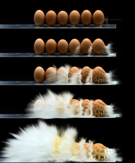 高清图：显微镜下的食物 带来艺术性的冲击感