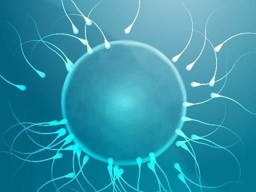 实拍精子进入女人体内的全过程——震撼!