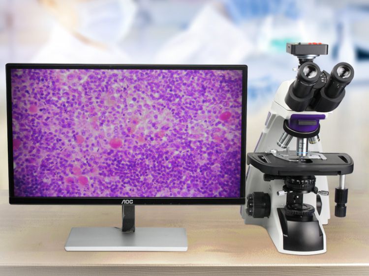 生物电子游戏与金相电子游戏相比,有哪些区别?