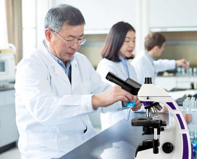 生物电子游戏的使用方法与具体步骤有哪些?