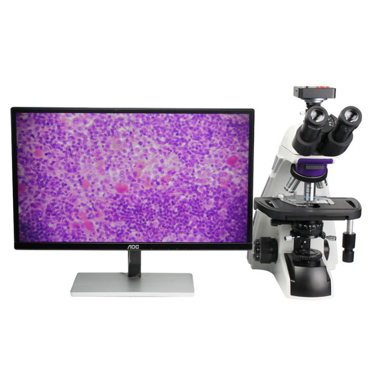 XE1016高档生物电子游戏