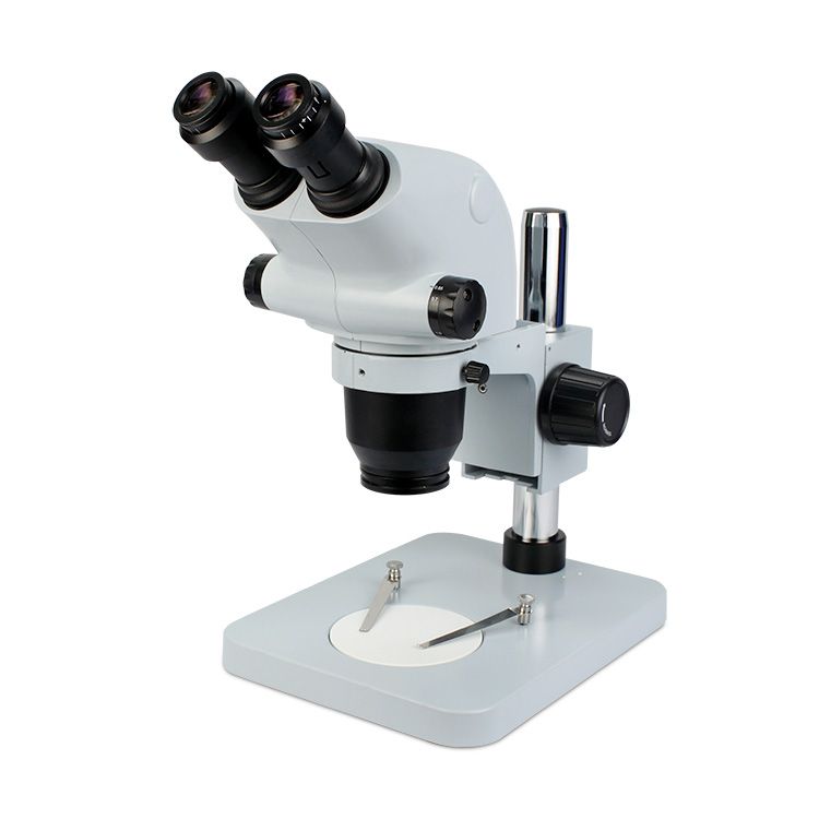 6565系列连续变倍体视电子游戏