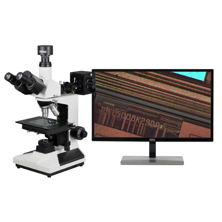 金相电子游戏 2000/2000L