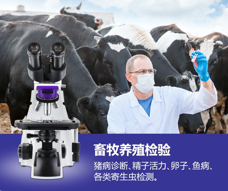 家畜精子密度划分等级的标准是什么?